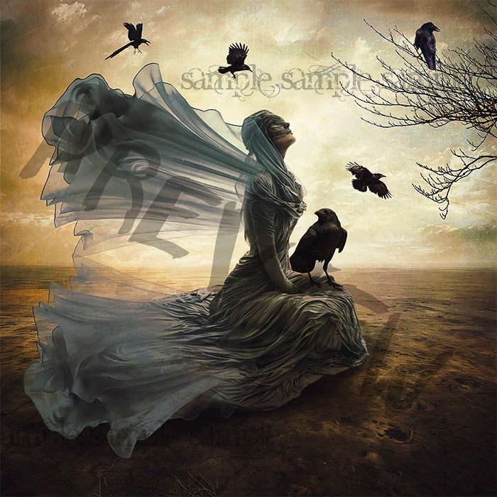 Hiding in Plain Sight