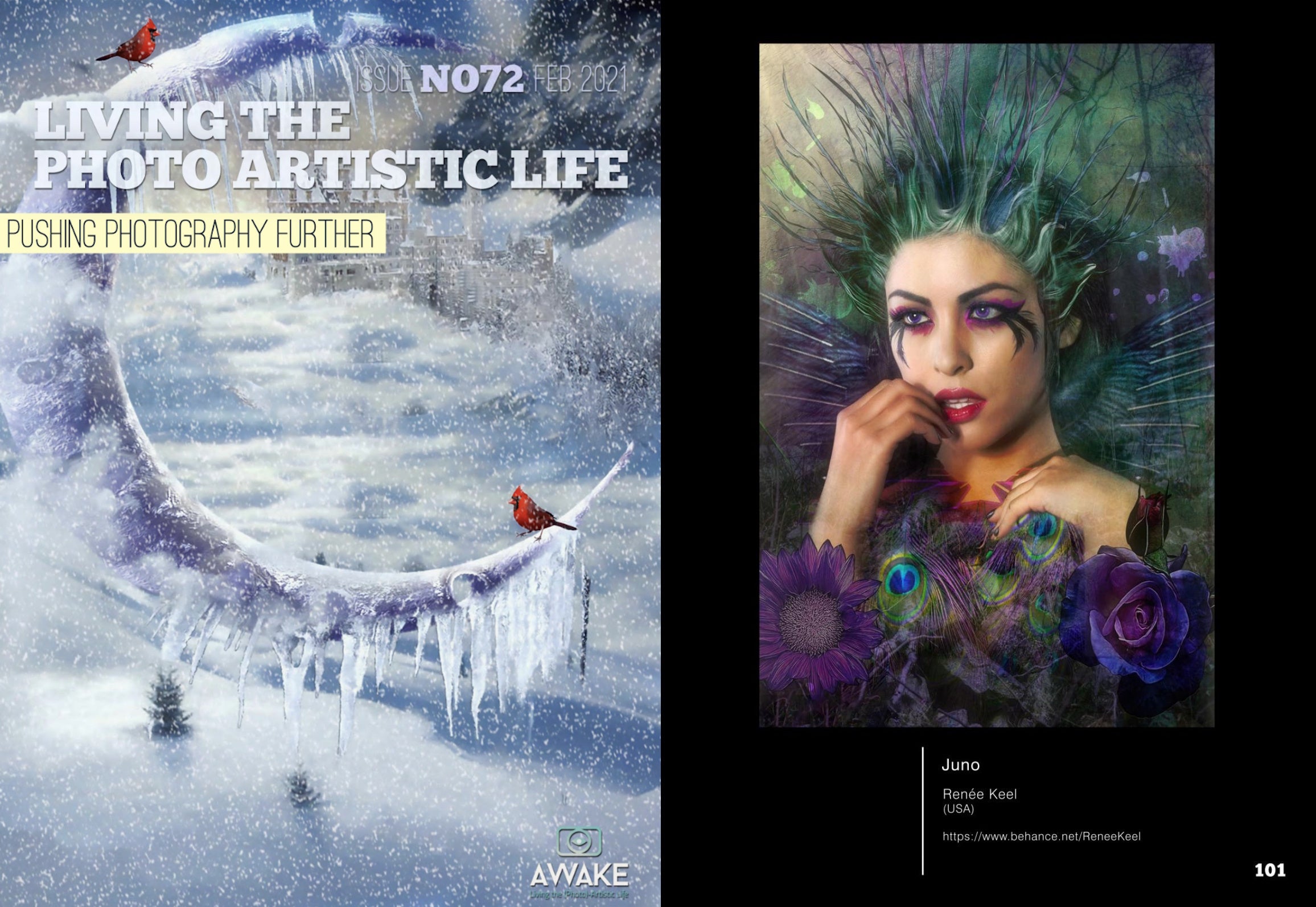 JUNO 16" X 24" Canvas Print