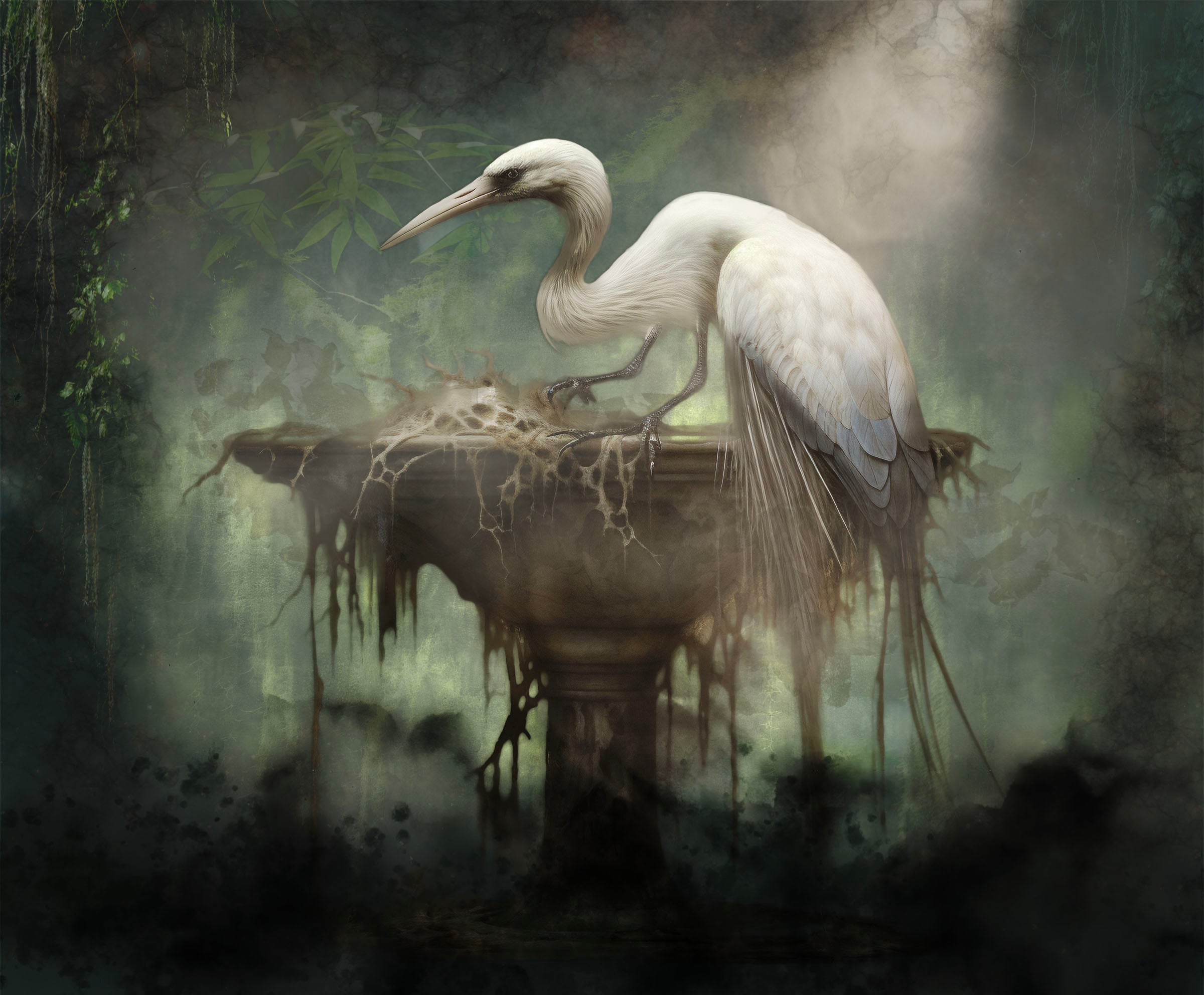 MASTER OF THE MANGROVE 12" X 16" Metal Print