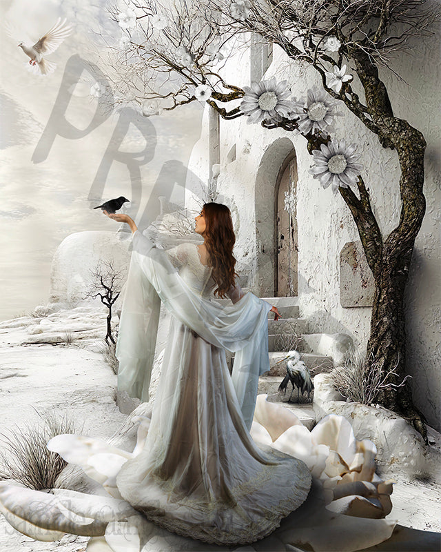 Alchemy of Hope 2