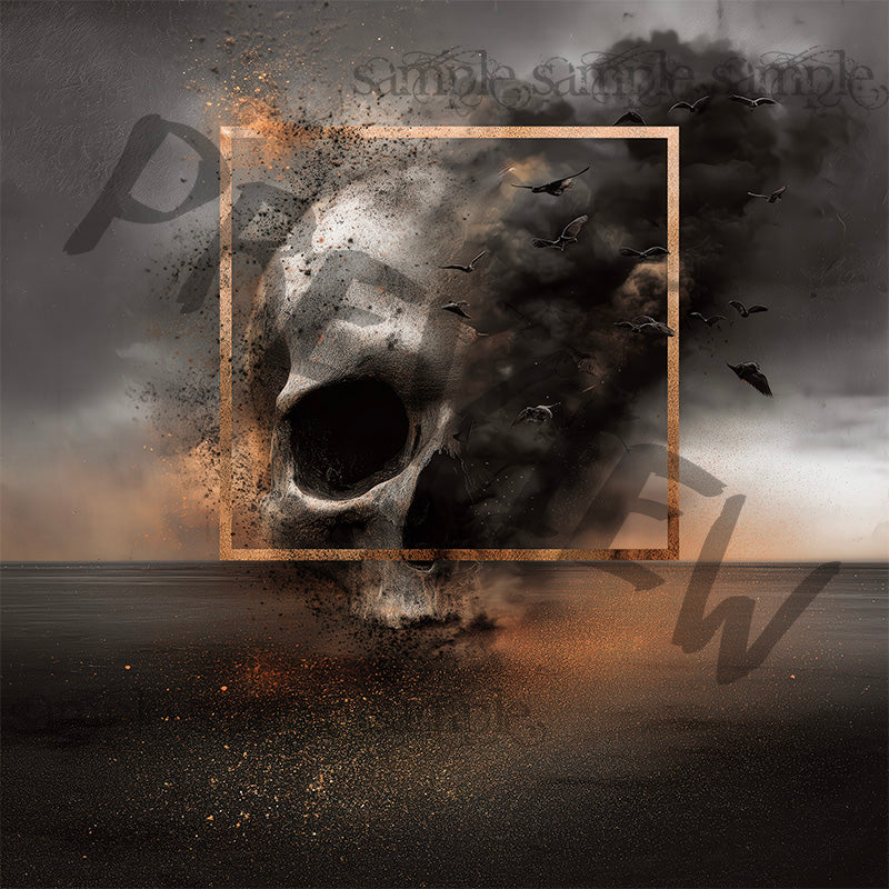 Album Art - Skull, Dust, and Crows