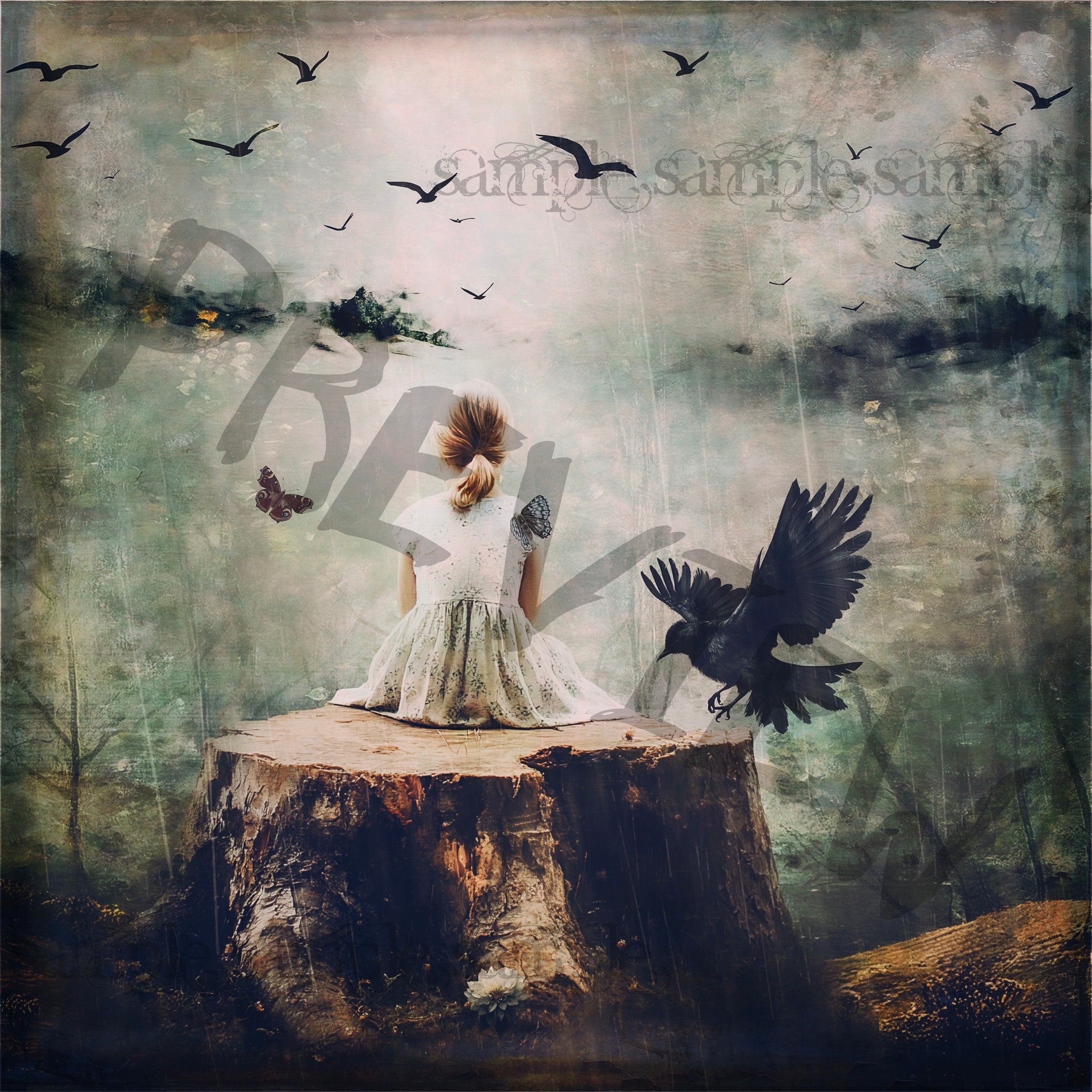 The Silence After the Song