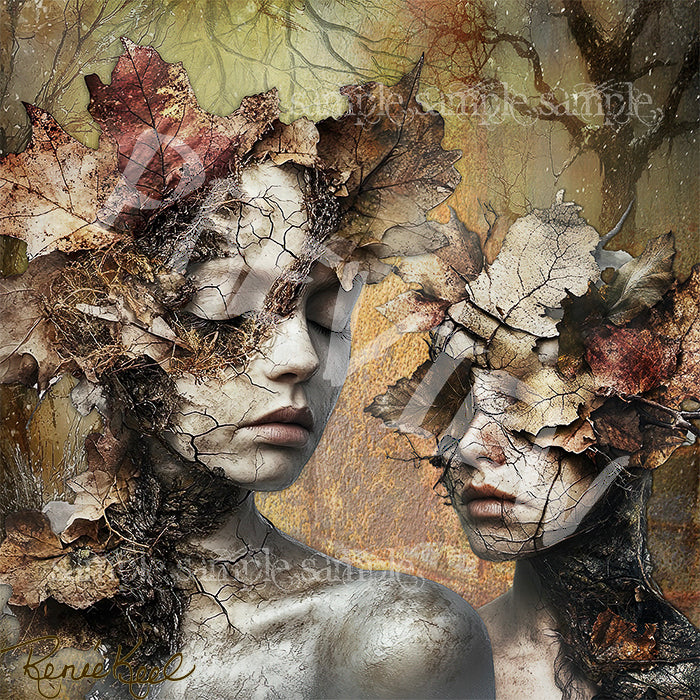 Senescence